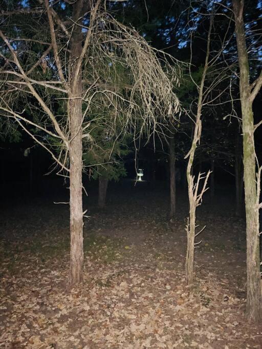 Bastrop Tiny Disc Golf Retreat Villa Kültér fotó