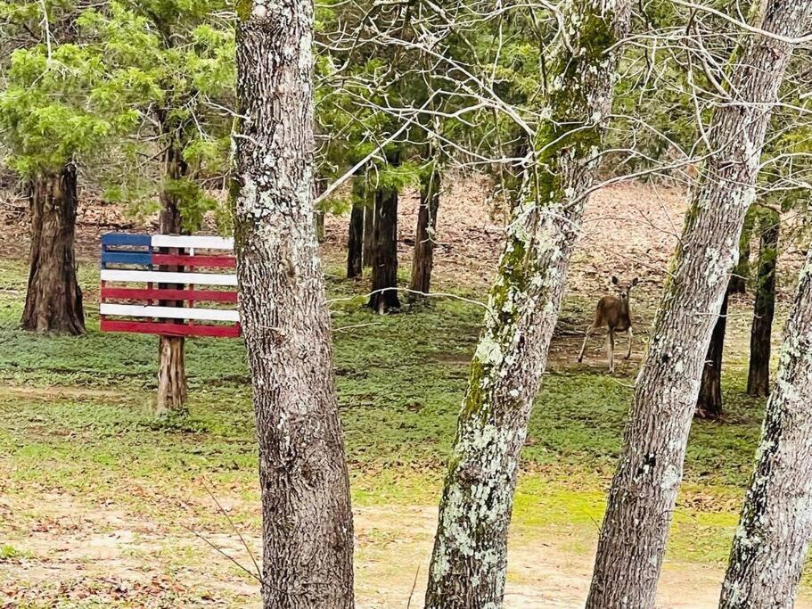 Bastrop Tiny Disc Golf Retreat Villa Kültér fotó